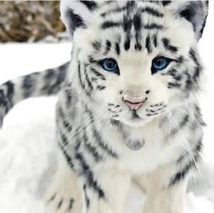 Meet your Posher, Anita